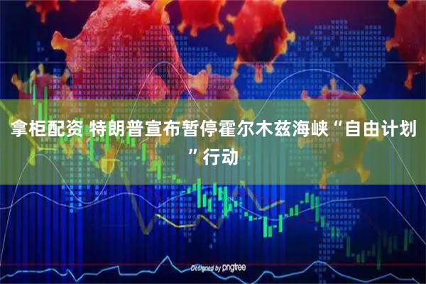 拿柜配资 特朗普宣布暂停霍尔木兹海峡“自由计划”行动